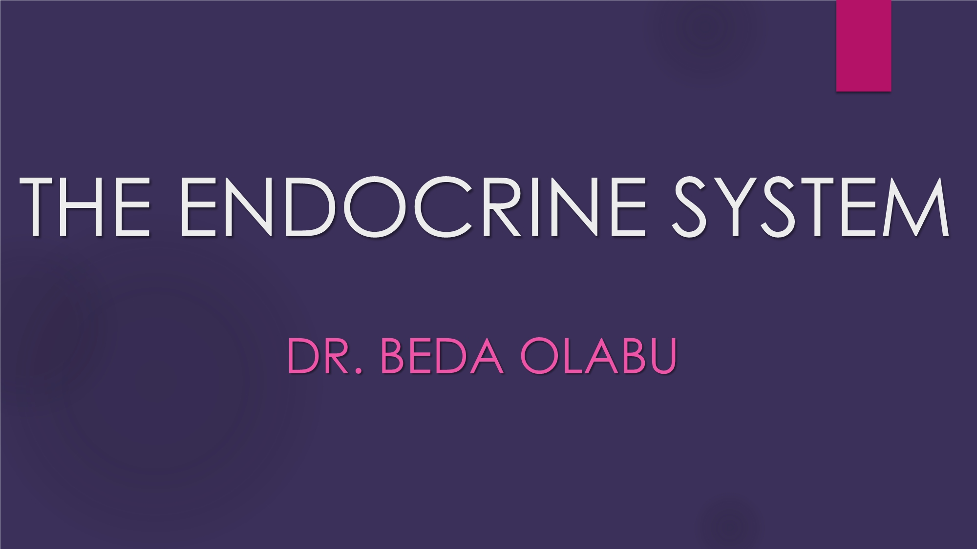 No preview available